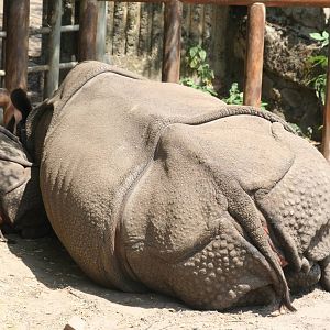 Berlin tierpark July 08