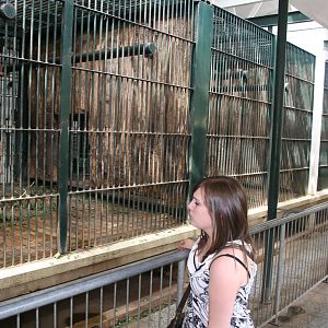 Indoor sun bear enclosure - Berlin tierpark 08