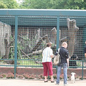 Outdoor sunbear enclosure Berlin tierpark 08