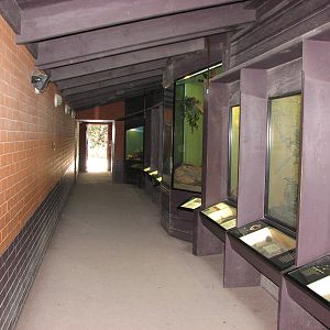 Healesville Sanctuary - Snake House corridor