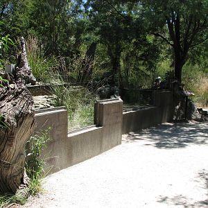 Healesville Sanctuary - Goana exhibit?