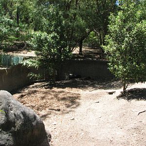 Healesville Sanctuary - Mixed exhibit for Echidna and Wombat?