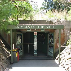 Healesville Sanctuary - Entrance into Animals of the Night