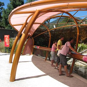 Healesville Sanctuary - Outside breeding station for Platypus