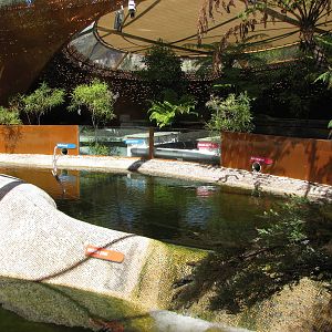 Healesville Sanctuary - Inside the Platypus breeding station