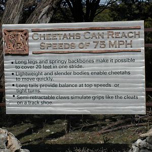 Cheetah Breeding Center