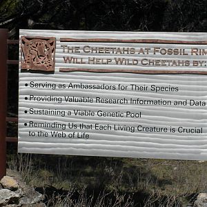 Cheetah Breeding Center