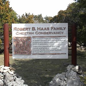 Cheetah Breeding Center