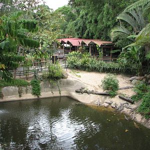 Kuranda Koala Gardens - Large Freshwater Crocodile exhibit