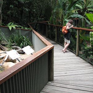 Kuranda Koala Gardens - Mixed lizard exhibit