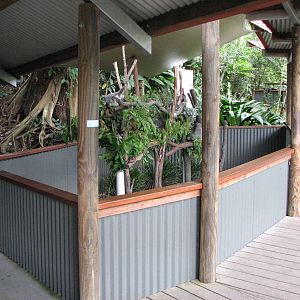 Kuranda Koala Gardens - First Koala exhibit