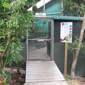 Kuranda Koala Gardens - Entrance to the Reptile Walk-Through