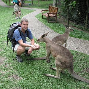 Kuranda Koala Gardens - Me and Eastern Gray Kangaroos