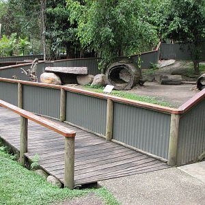 Kuranda Koala Gardens - Common Wombat exhibit
