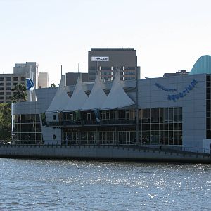 Melbourne Aquarium - Close-up of the Aquarium building from across the Yarr
