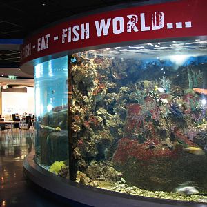 Melbourne Aquarium - General view