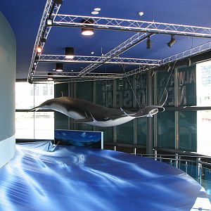 Melbourne Aquarium - General view