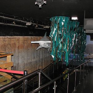 Melbourne Aquarium - General view
