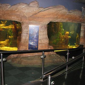 Melbourne Aquarium - General view