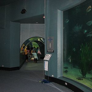 Melbourne Aquarium - General view
