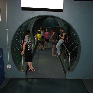Melbourne Aquarium - General view