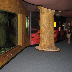 Melbourne Aquarium - General view