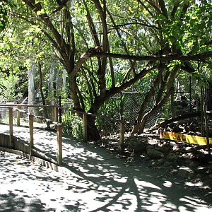 The Rainforest Habitat - Pathway leading towards the Crocodile exhibits