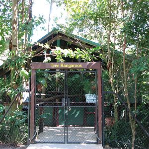 The Rainforest Habitat - Exit from the walk-through enclosure and to the Lu