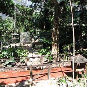 The Rainforest Habitat - Inside the walk-through aviary