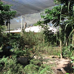 The Rainforest Habitat - Inside the walk-through aviary