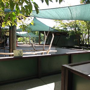 The Rainforest Habitat - Koala exhibit complex