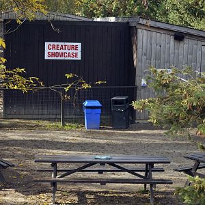 Showarea at Twin Vally Zoo