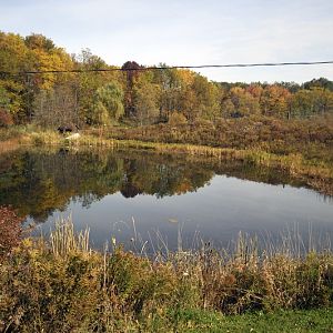 Lake at Twin Vally Zoo