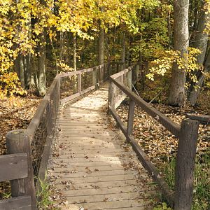 Woodtrail at Twin Vally Zoo