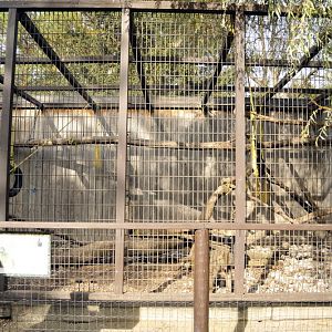 Babooncage at Twin Vally Zoo