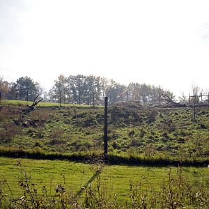 Wolfexhibit at Twin Vally Zoo