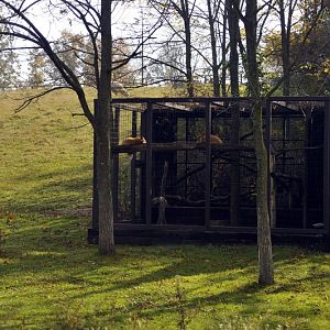 Foxcage at Twin Vally Zoo
