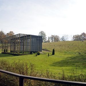 Eaglecage at Twin Vally Zoo