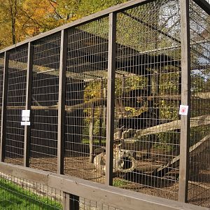 Jagaurcage at Twin Vally Zoo