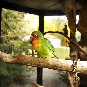 A wild mix at Twin Vally Zoo