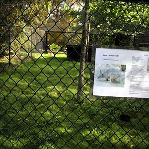 Wallaby exhibit at Twin Vally Zoo