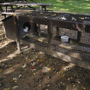Bunnycage at Twin Vally Zoo