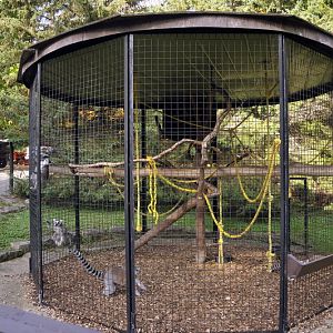 Lemurcage at Twin Vally Zoo
