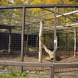 Tigercage at Twin Vally Zoo