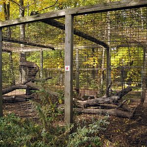 Pumacage at Twin Vally Zoo