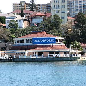 Oceanworld Manly - Close-up of the Aquarium building from the ferry