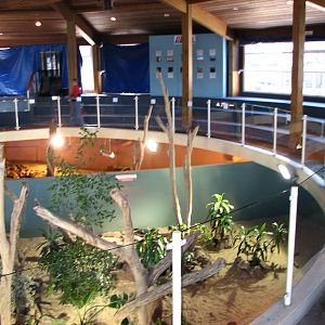 Oceanworld Manly - Goana and lizard pits forming a semi-circle in front of