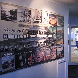 Oceanworld Manly - Sign detailing the history of the Aquarium