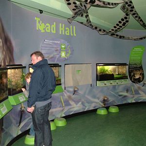 Toad Hall amphibian exhibit at Slimbridge 06/02/10
