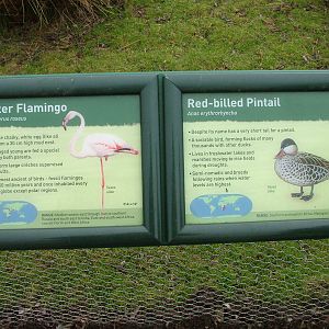 Signage example at Slimbridge 06/02/10